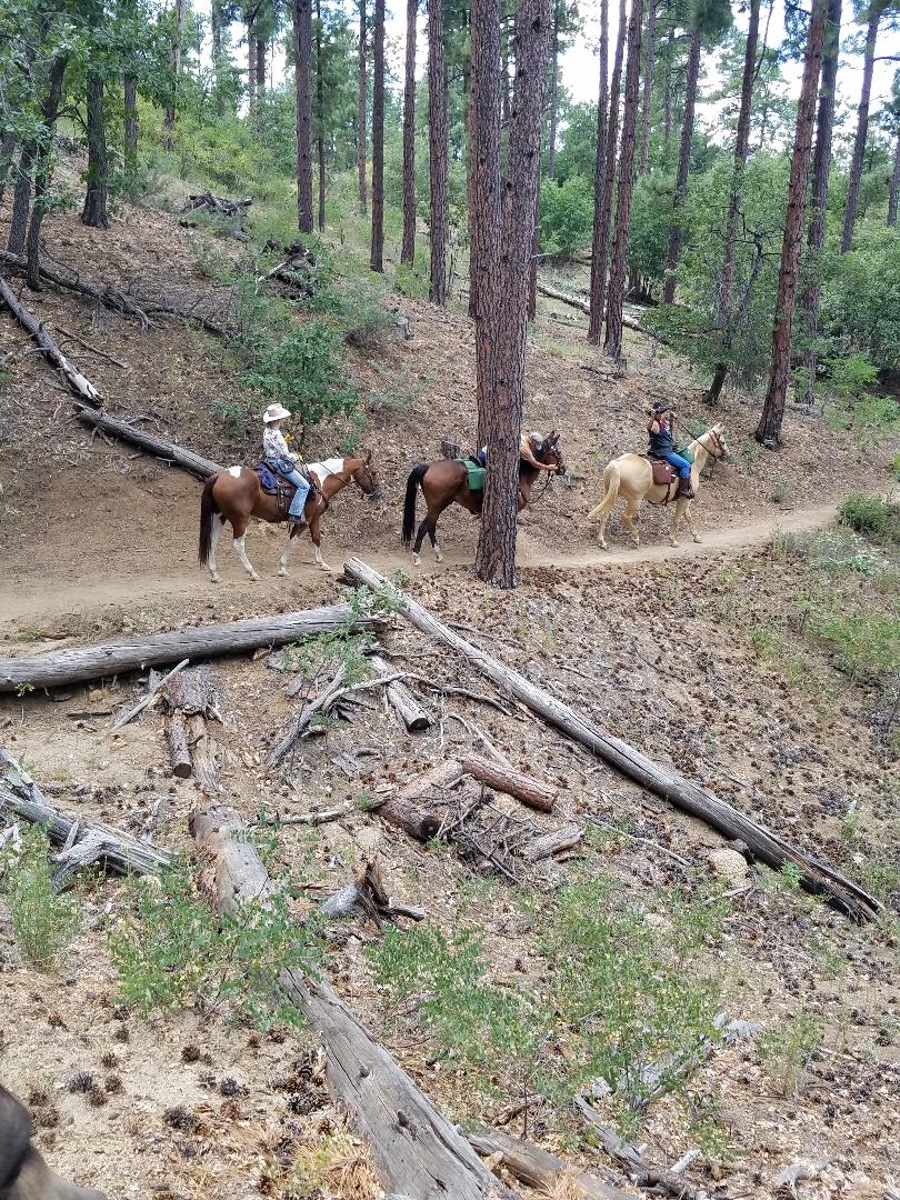 Apache Junction Horse Rescue